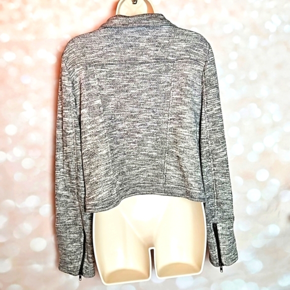 Market & Spruce | Gray French Terry Moto Jacket - Picture 2 of 10